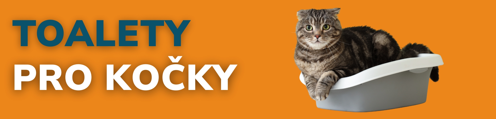 TOALETY PRO KOCKY